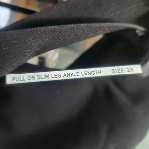 NWT pull on ankle pants, jones&Co